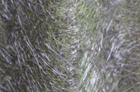 Crossmoor fibreglass roof work